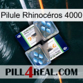 Pilule Rhinocéros 4000 viagra5